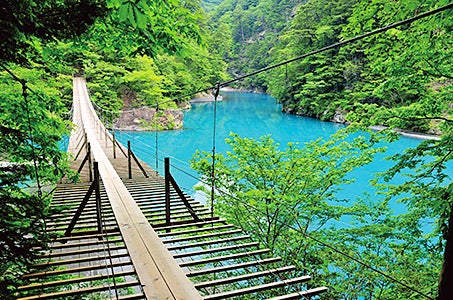 〈新宿発〉静岡の秘境寸又峡温泉に宿泊!奥大井湖上レインボーブリッジ&寸又峡夢のつり橋を歩く2日間 中型ハイグレードバス「スターペガサス24」利用!2